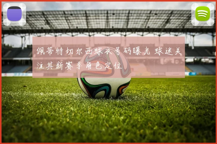 佩蒂特切尔西球衣号码曝光 球迷关注其新赛季角色定位