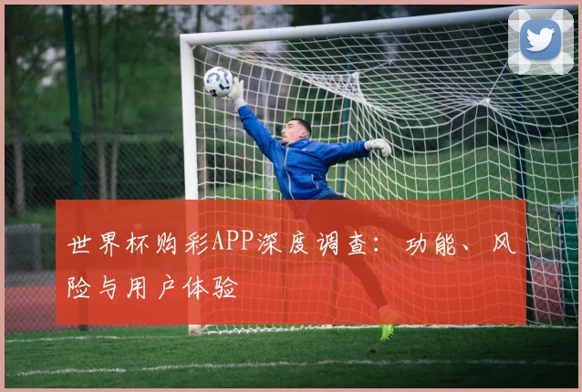 世界杯购彩APP深度调查:功能、风险与用户体验