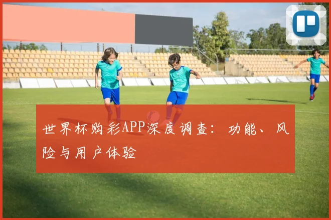 世界杯购彩APP深度调查:功能、风险与用户体验