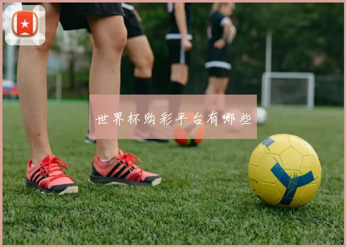 世界杯购彩平台有哪些