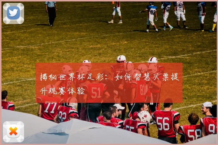 揭秘世界杯足彩：如何智慧买票提升观赛体验
