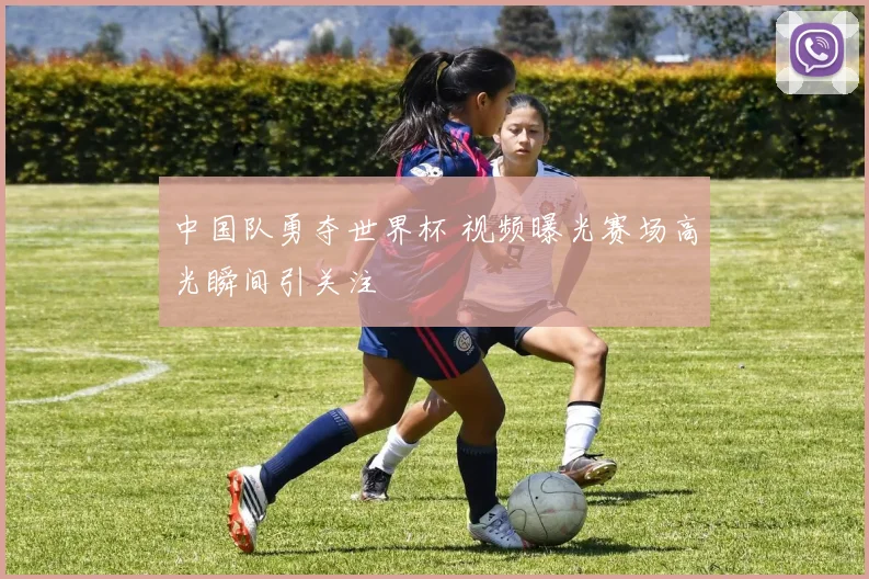 中国队勇夺世界杯 视频曝光赛场高光瞬间引关注