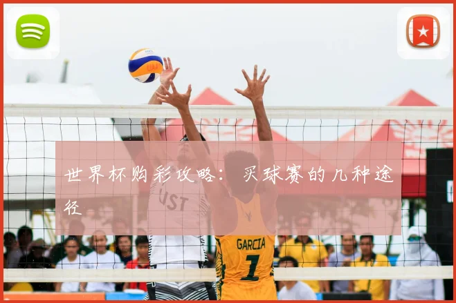 世界杯购彩攻略：买球赛的几种途径