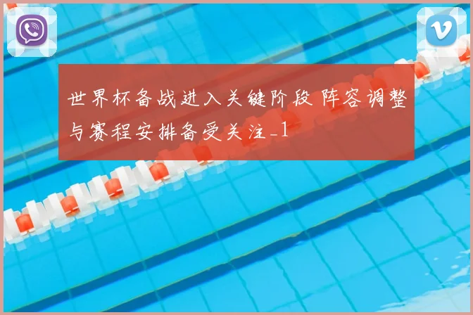 世界杯备战进入关键阶段 阵容调整与赛程安排备受关注_1