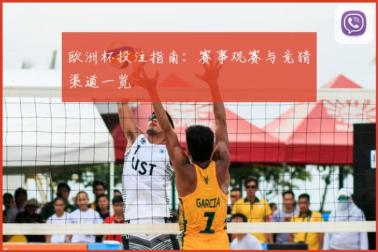 欧洲杯投注指南：赛事观赛与竞猜渠道一览