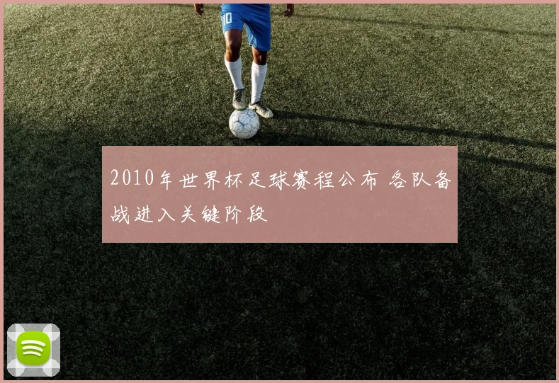 2010年世界杯足球赛程公布 各队备战进入关键阶段