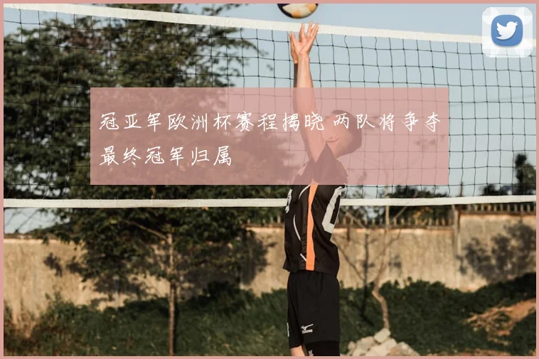 冠亚军欧洲杯赛程揭晓 两队将争夺最终冠军归属