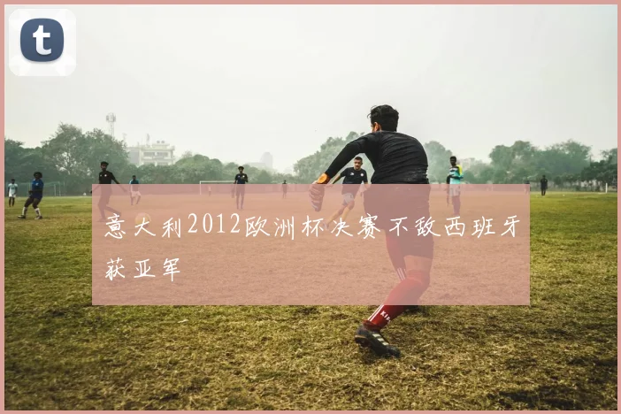 意大利2012欧洲杯决赛不敌西班牙获亚军