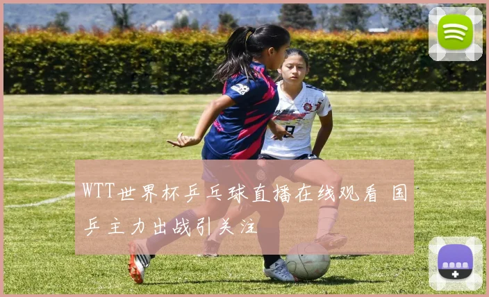 WTT世界杯乒乓球直播在线观看 国乒主力出战引关注