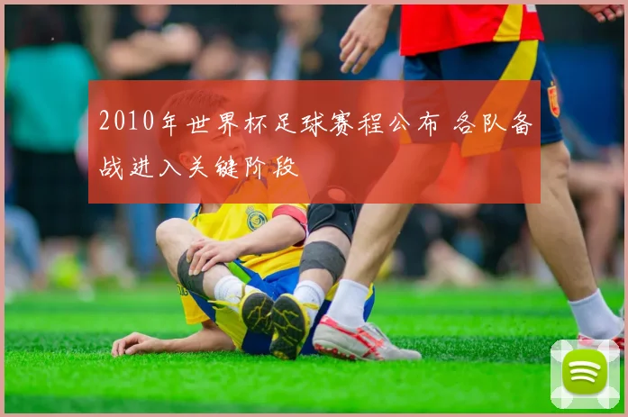 2010年世界杯足球赛程公布 各队备战进入关键阶段